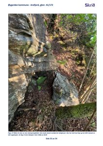 Fotografi av en steinsprangblokk i skaret nordøst for bolighuset, med tett vegetasjon.