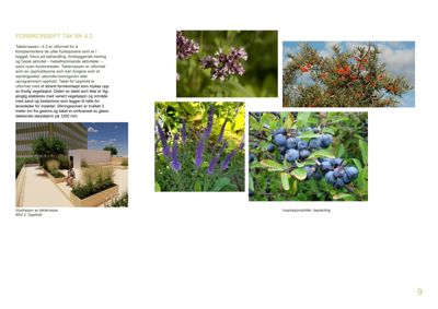 Illustrasjon av en takterrasse med planter og beplantning