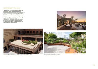 Bildet viser en collage av tre fotografier som illustrerer et taklandskap med vegetasjon og terrasser, samt en tekstbeskrivelse av konseptet.