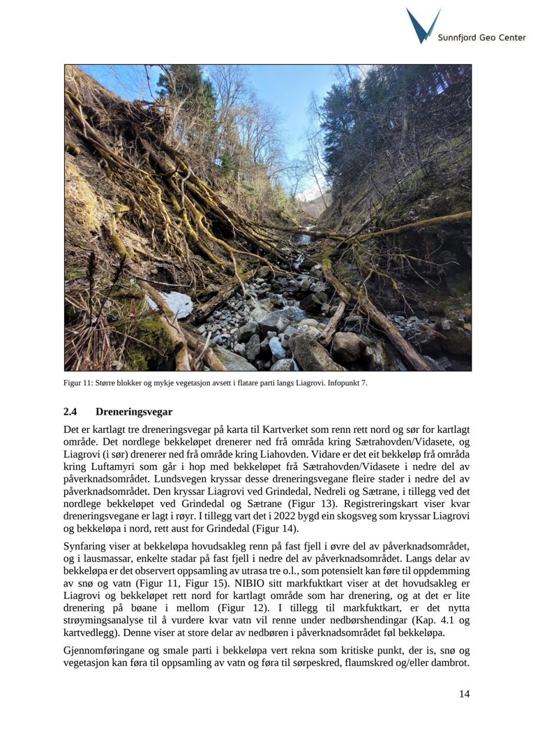 Fotografi av et terrengområde med bekkeløp, vegetasjon og steiner, illustrert i en rapport.