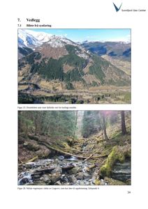 To foton som viser terreng og vegetasjon i et fjellområde.