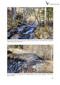 Fotografier av et naturområde med skog og bekker, inkludert tekster som beskriver landskapet og vannløp.