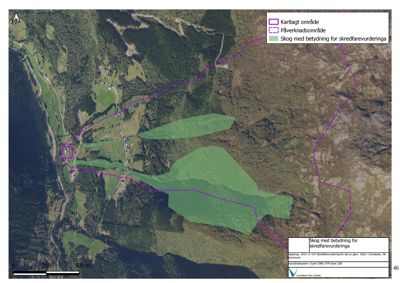 Kart over et område med overlagte polygoner som viser skog med betydning for skredfarevurdering.