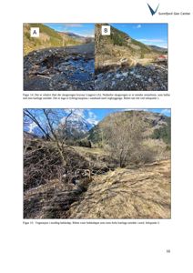 Fotografier av et skogsvegsområde og bekkeløp i en fjellomgivelser.