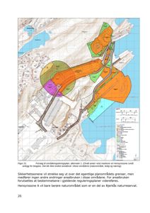 Et kart som viser et forslag til områdeplanlegging med fargemarkerte soner (natur, bolig, næring) og topografi.