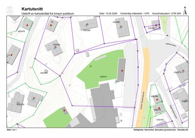 Kartutsnitt som viser tomtens form, grenser, nabotomter, veier og høydeforhold (konturlinjer).