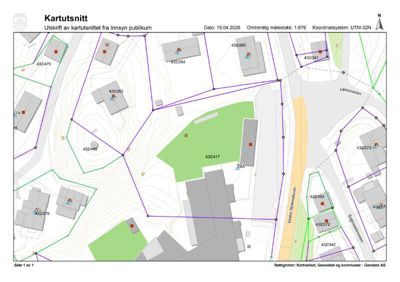 Kartutsnitt som viser tomtens form, grenser, nabotomter, veier og høydeforhold (konturlinjer).