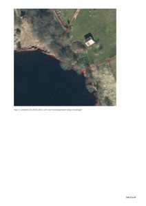 Ortofot fra 28.05.2021 som viser kantvegetasjon langs et vassdrag.