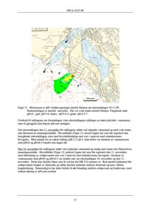 Kart over Herøya med overlag av pH-verdier i vannmassene.
