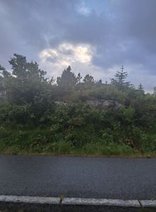 Fotografi av en vei med kantstein i forgrunnen, grønt vegetasjon og steinbakke i bakgrunnen under skyet himmel.