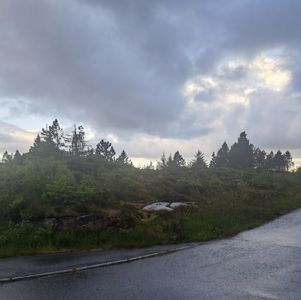 Fotografi av en vei som går langs et grønt, skogkledt terreng under skyet himmel.