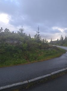 Fotografi av en vei som svinger gjennom et skogstakket landskap med trær og busker.