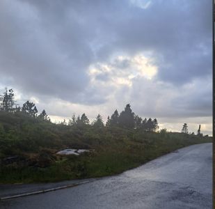 Fotografi av en vei som svinger inn mot et grønt, skogkledt område under en skyet himmel.