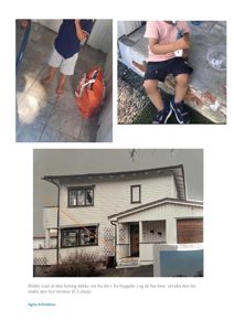 Fotografier av en eksisterende bygning (hvit villa) og personer på tomten, med en tekstbeskrivelse om betongdekke og terrasse.