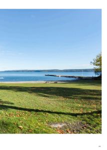 Fotografi av en kystlinje med grønt gress, en brygge og vann i bakgrunnen.