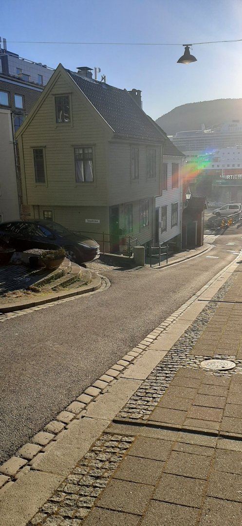 Fotografi av en gata med en grå beitemul i forgrunnen og en gulbeitemul i bakgrunnen.