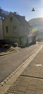 Fotografi av en gata med en grå beitemul i forgrunnen og en gulbeitemul i bakgrunnen.