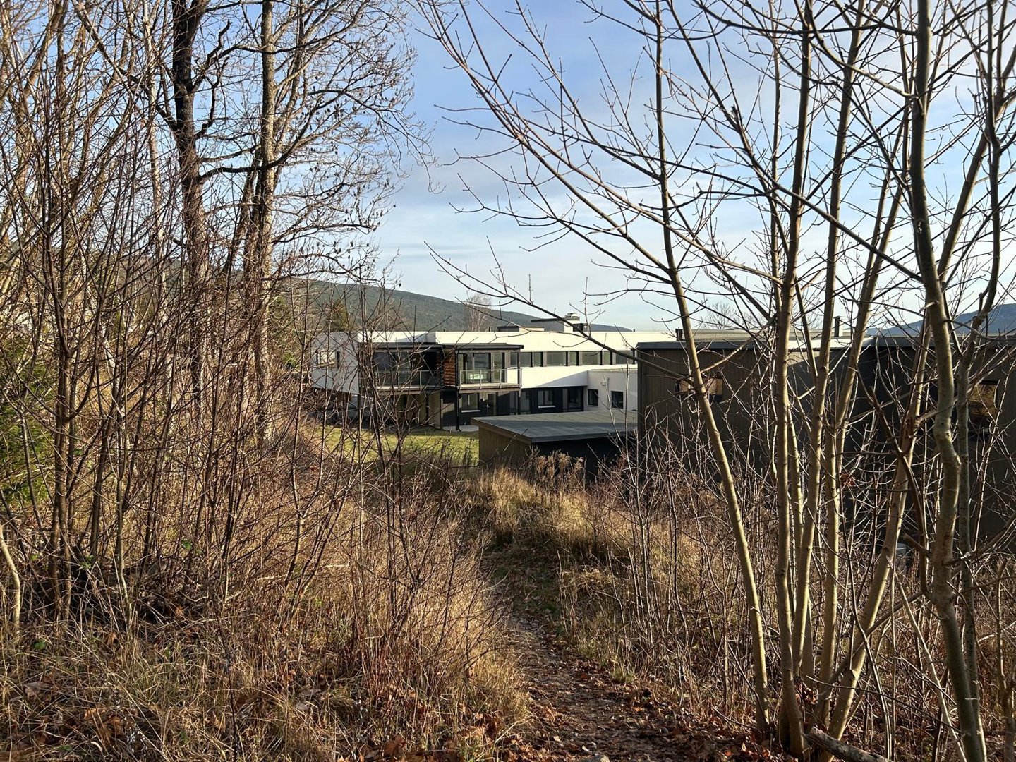 Fotografi av en moderne bygning sett gjennom busker og trær.