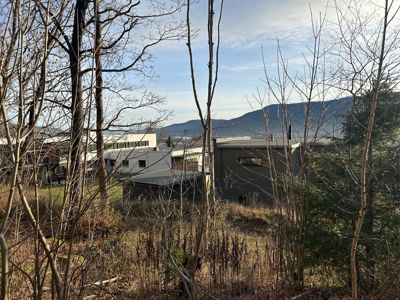 Fotografi av eksisterende eller planlagt bygning sett gjennom trær.