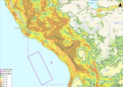 Kart over et område med topografisk informasjon (høydeforhold) og en markert påvirkningsområde (lilla polygon).