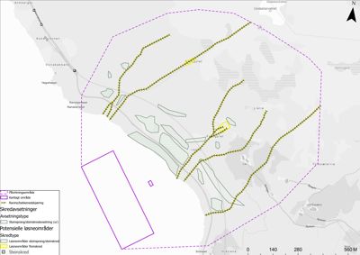 Kart over et område med skredavsetninger, løseområder og steinskred, inkludert en markert kartlagt område.