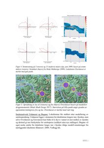 Kart som viser geografisk plassering av lokaliteter (Overåneset, Bugane, Stranda) i forhold til fjord og øyer, samt spredning av lus.