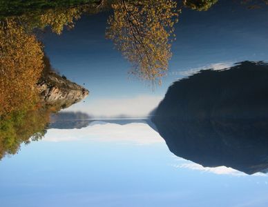 Fotografi av en fjord eller innsjø med fjell og trær i forgrunnen.