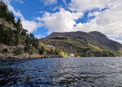 Fotografi av en kystlinje med fjell, skog og noen bygninger langs stranden.