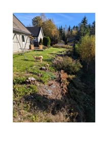 Fotografi av en bolig og hageområde med en hund.