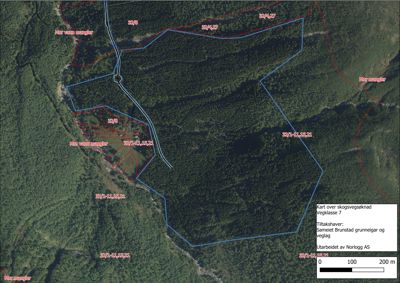 Kart over skogsvegvegsknad med overlagte eiendomsnummer og veggrenser.