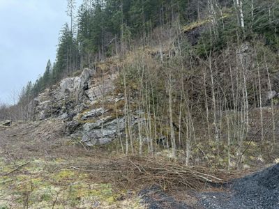Fotografi av et terreng med en steil, klatet fjellside eller skrent, omgitt av skog og løvtrær.