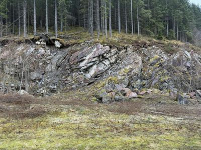 Fotografi av et naturområde med en steil fjellside, skog og grønt terreng.