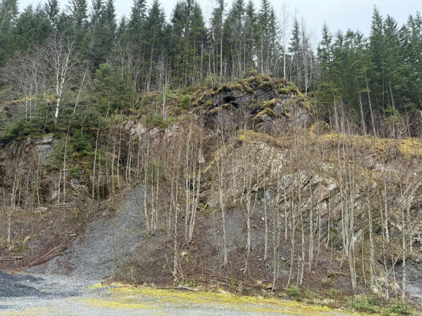 Fotografi av et terreng med skog, en steil bakke og en grusvei i forgrunnen.