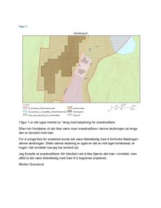 Kart som viser snøskredfare, terrengforhold og bygningsplassering i et område.