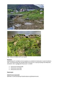 Fotografier av et kystområde med strandsoner, vann og bebyggelse i bakgrunnen.