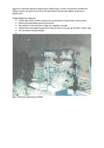 Situasjonsplan som viser et alternativt tiltak (avgranset med blå linjer) i forhold til eksisterende bygninger, vegger og terreng.