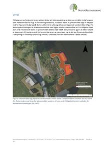 Et flyfoto eller satellittbilde av et planlagt område (planområde) med overlagte polygoner som viser verdierområder for fugl og biologisk forekomstområde.