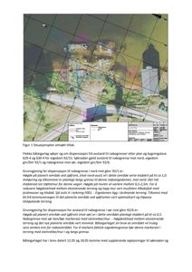 Situasjonsplan som viser etasjeplan, nabogrenser, vegforhold og terrengforhold for et tilsikt.