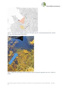 Bildet viser en situasjonskart med topografi og en markert planområde (rød firkant) samt tidligere registrerte naturtyper.
