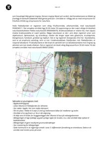 Bildet viser en situasjonsplan eller et kart over et område ved Flekkefjorden, inkludert en satellittbilde med overlagte ruter og tekst om naturbeskyttelse.
