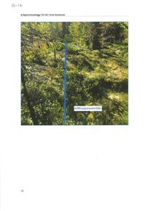 Fotografi av et terrengområde med skog, som viser en markert blå linje og et tekstfelt 'Infiltrasjonsområde'.