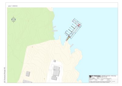 Situasjonskart som viser tomtens topografi, vannkropp, eksisterende bygninger og en planlagt kai eller bryggeanlegg.