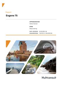 Dette bildet viser forsiden av en rapport for byggesaken 'Engene 75'. Forsiden inneholder tittelen, oppdragsgiveren (Hatice Hansen), emnet ('Støyvurdering'), dokumentinformasjon og et collage med flere foton som illustrerer ulike arkitektoniske elementer.