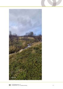 Fotografi av et naturområde med en bekk og vegetasjon, sannsynligvis fra et feltbesøk eller en befaring.