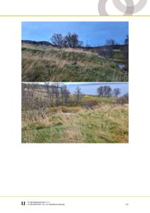 Fotografier av et naturområde med skråning, trær og vann (sannsynligvis en elv eller innsjø) i bakgrunnen.