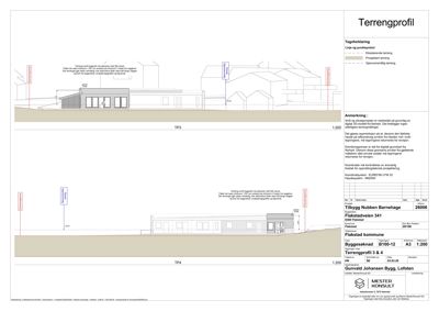 Tverrsnitt (terrengprofil) som viser bygningens høyde i forhold til terrenget.