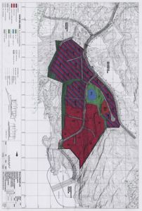 Situasjonsplan som viser tomtens form, beliggenhet, topografi (konturlinjer), vegforhold og inndeling av arealer (f.eks. byggeområder, veier, vann).