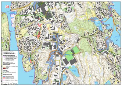 Et kart over Flåm og Overvatn som viser topografi, infrastruktur og potensielle flomområder.