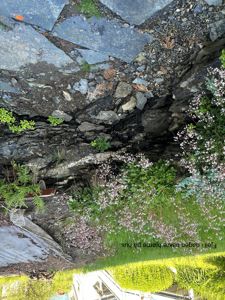Fotografi av bakre hjørne på et hus med fjell i dagen, grønt, planter og steinlagte trapper.