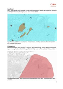 Bildet viser to kart som illustrerer naturformål og friluftsformål i forhold til eiendommen. Kartene viser topografi, vegnett og registrerte områder.